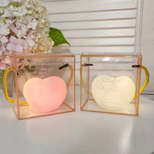 Heart 3D LED Night Light with a clear gift bag